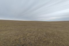 5-27-2026-Auction-Photo-1_web