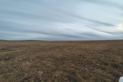 5-27-2026-Auction-Photo-5_web