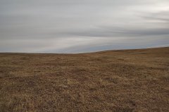 5-27-2026-Auction-Photo-6_web