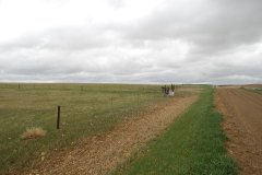 Edge-of-Pasture-With-Road-and-Signs-Pointed-South_web