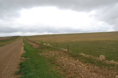 North-Picture-showing-road-and-pasture_web