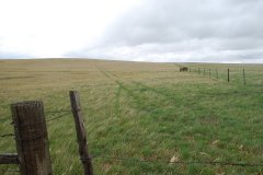 Pasture-Pic_web